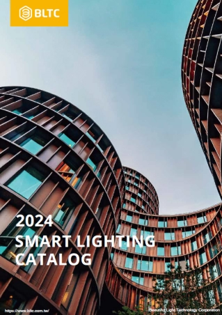 Beautiful Light Technology Corp.