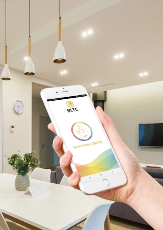 Beautiful Light Technology Corp.