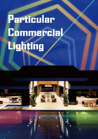 Beautiful Light Technology Corp.